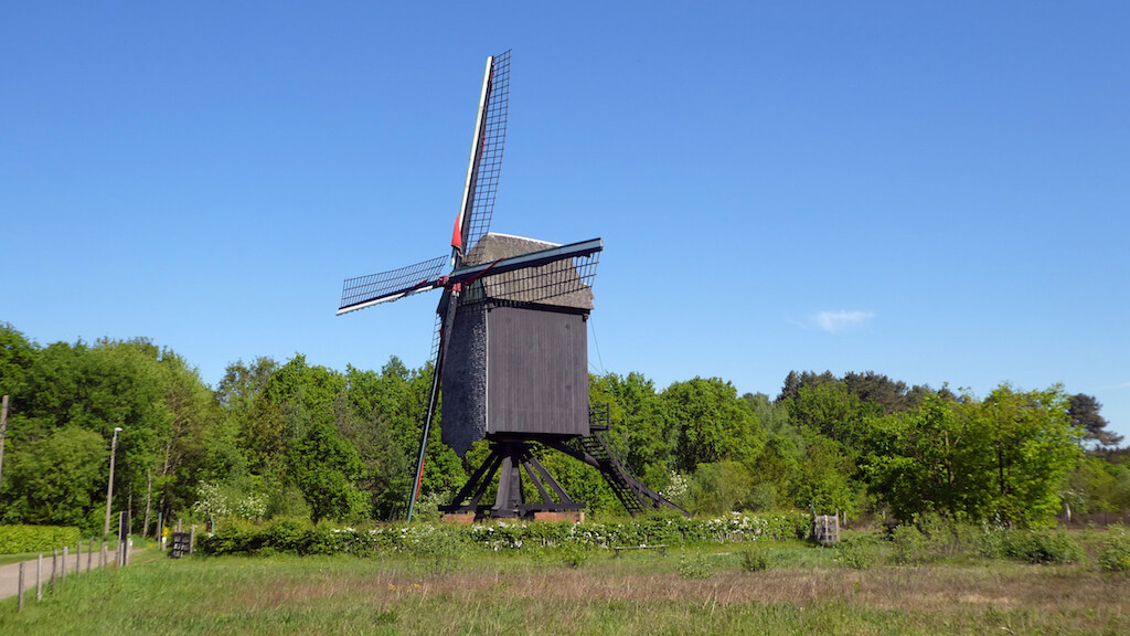 Molenheide en Demerbroeken