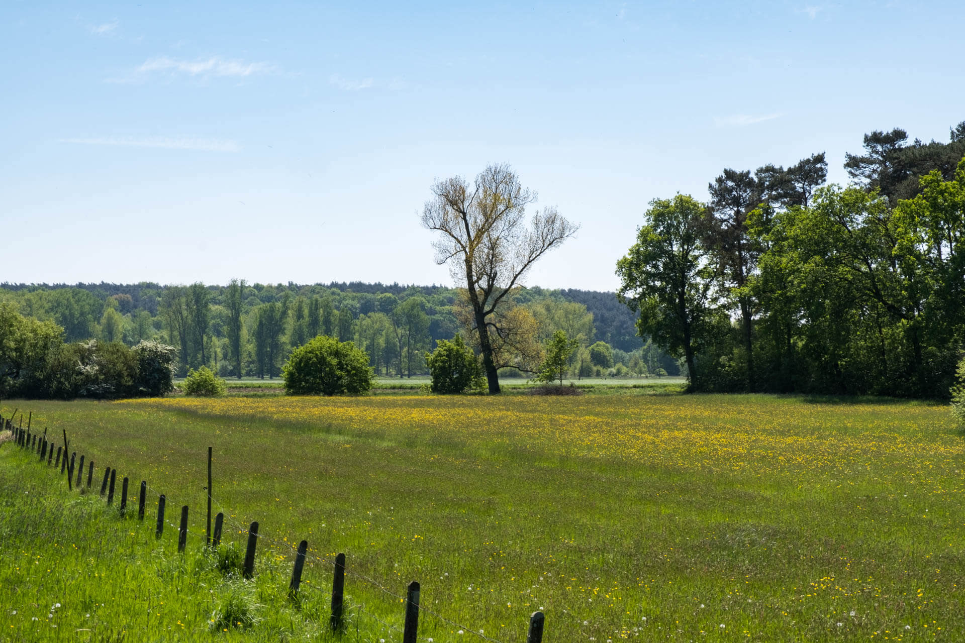 Molenheide en Demerbroeken