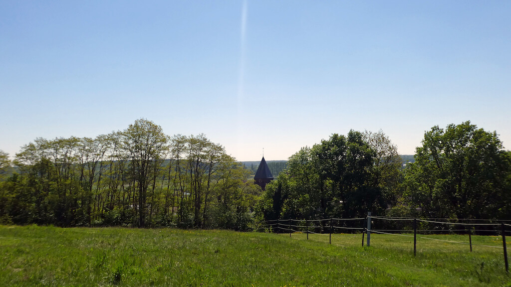 Molenheide en Demerbroeken