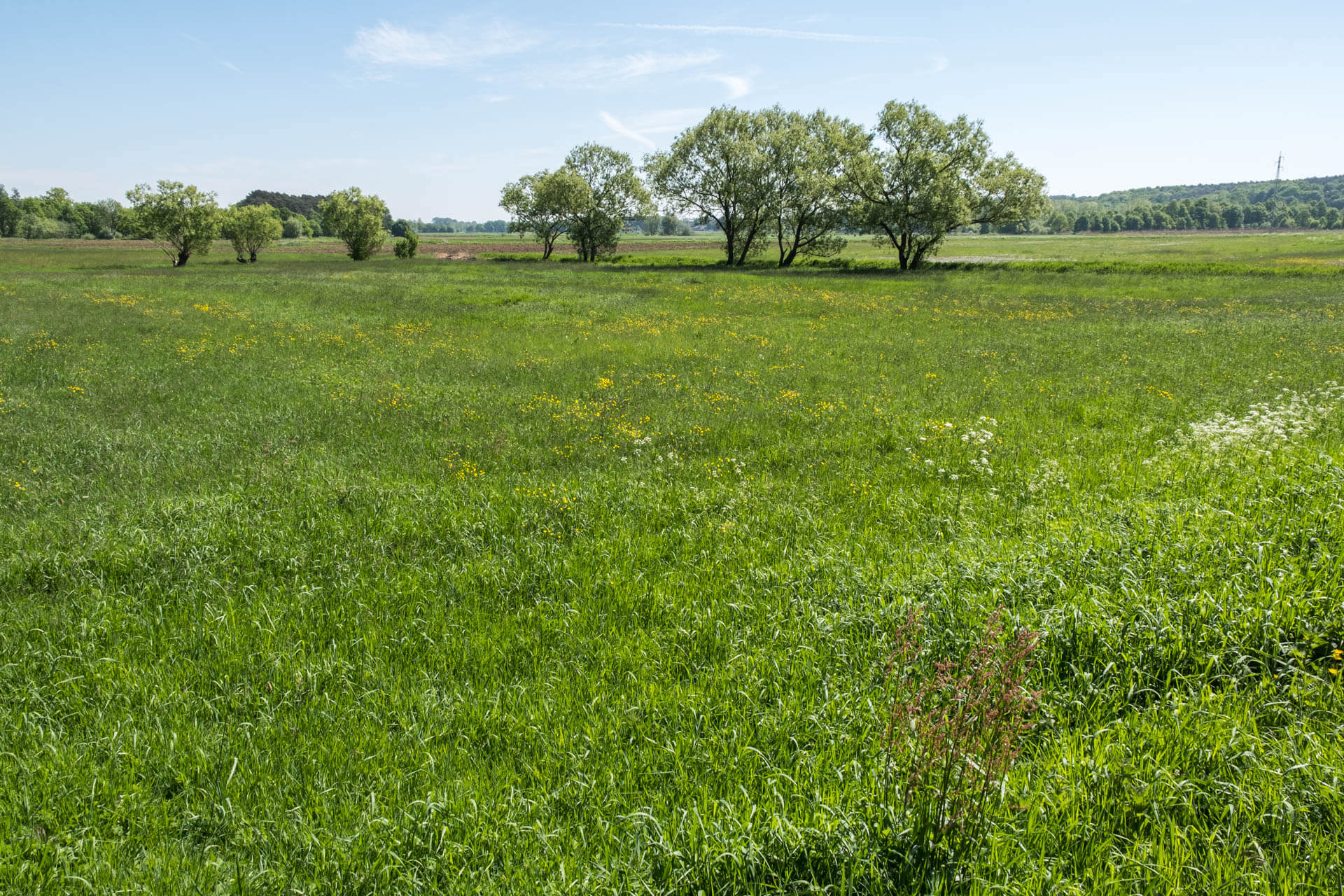 Molenheide en Demerbroeken