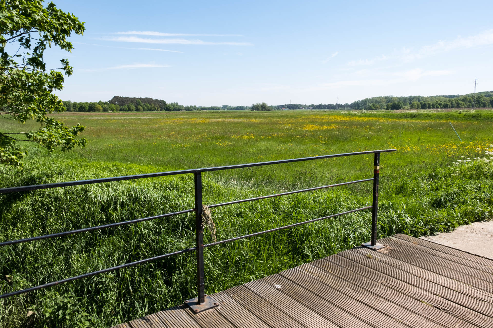Molenheide en Demerbroeken