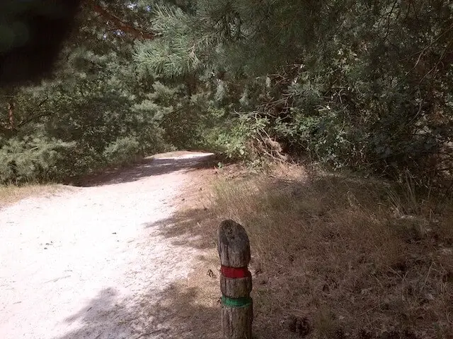 sand path with route markings