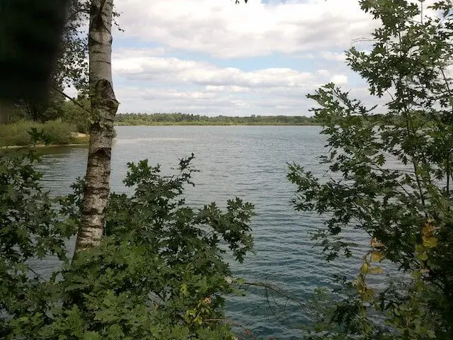 view on reindersmeer