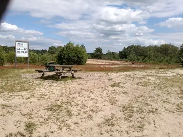bench on bergerheide
