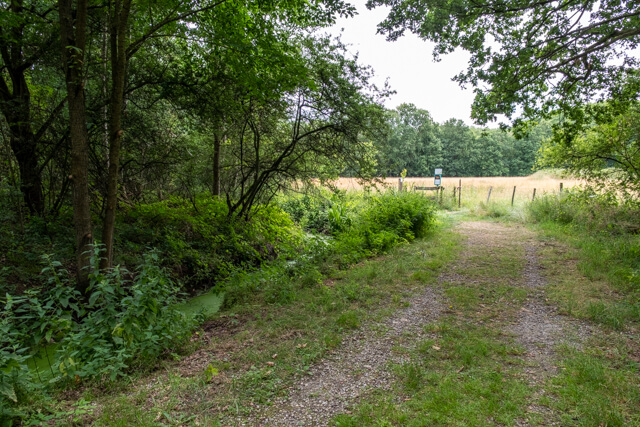 Antitankgracht en Haachts Broek