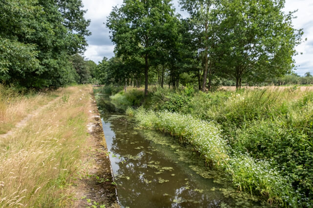 Antitankgracht en Haachts Broek