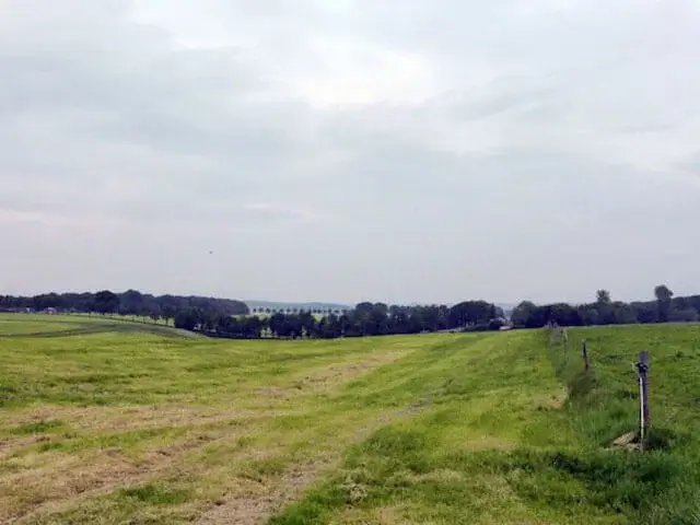 as far as you can see