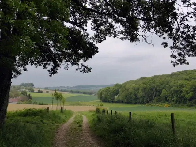 nice path in the country side