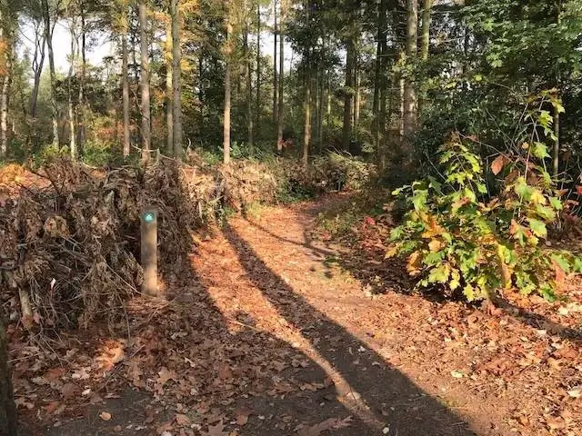 forest path near volksabdij