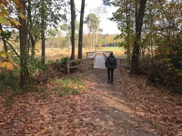 to the viewpoint