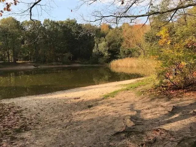 wassche fen