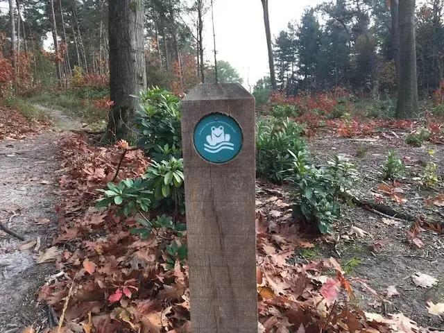 marking frog path