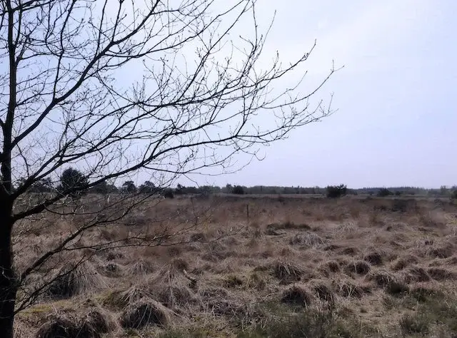 cartierheide