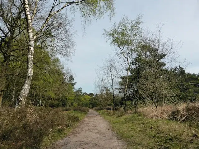 sandy path in Cartierheide