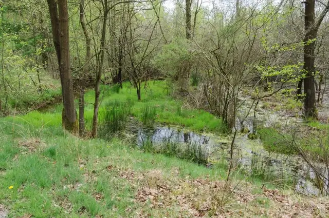 Dalems Stroompje