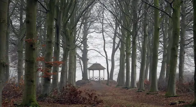 tea pavilion