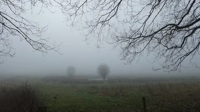 foggy view