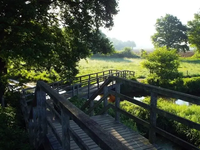 bridge over the molen brook