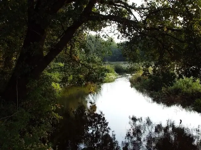 the molen brook