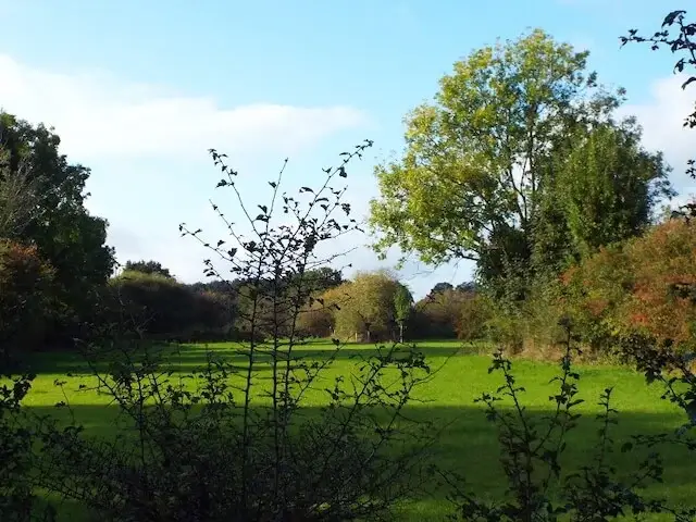 grasslands