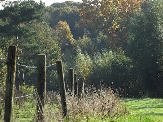 path along the neerpeel brook