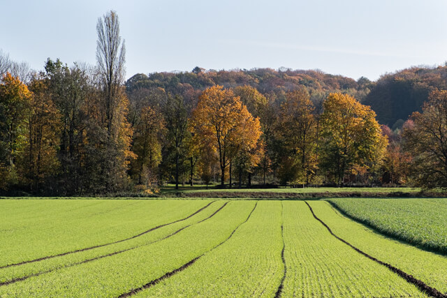 Broekemwandeling