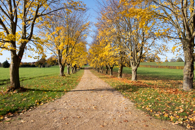 Broekemwandeling