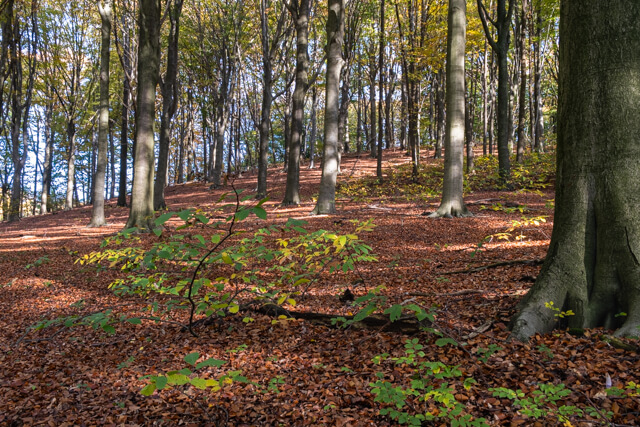 Broekemwandeling