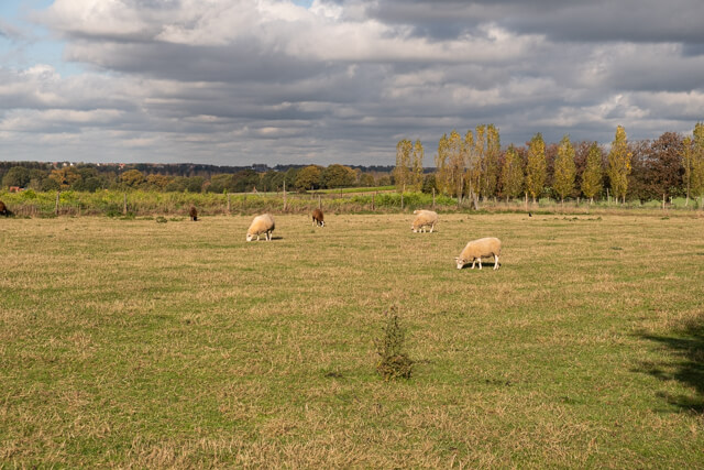 Broekemwandeling