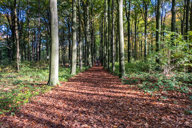Broekemwandeling