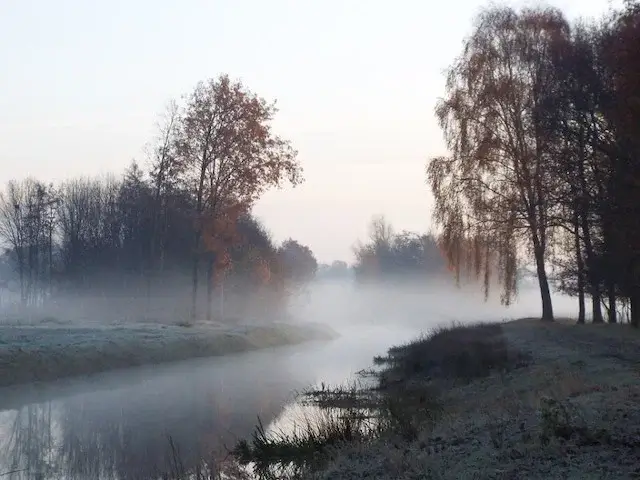 leijgraaf brook
