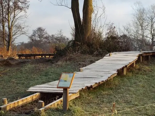 boardwalk to the higher wet peelhorst