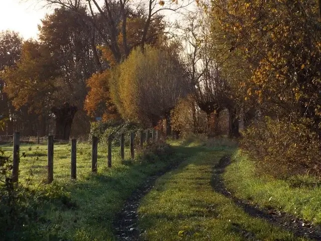 path through the wijstgronden