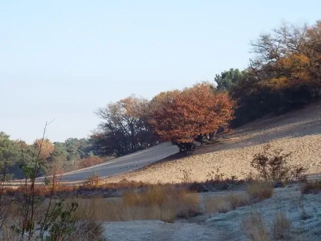 sand dune ridge