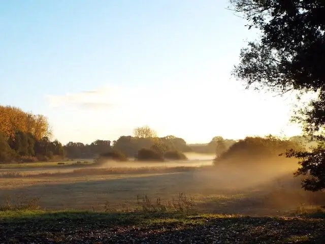 dommelbeemden at sunrise