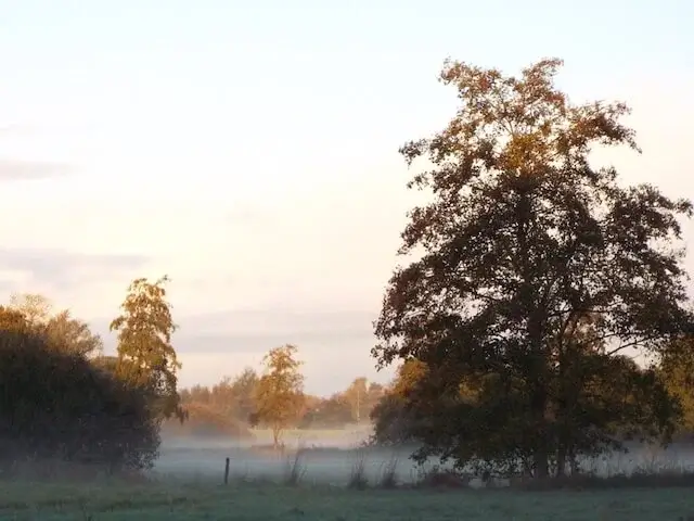 dommelbeemden at sunrise