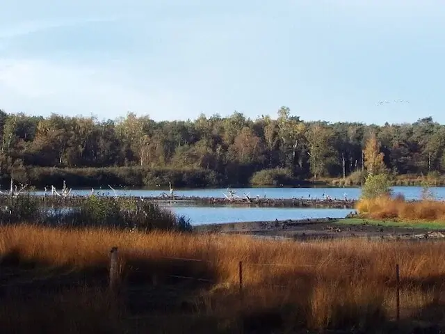 the hazenputten
