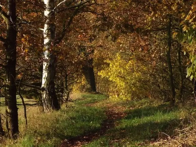 path to the moerkuilen