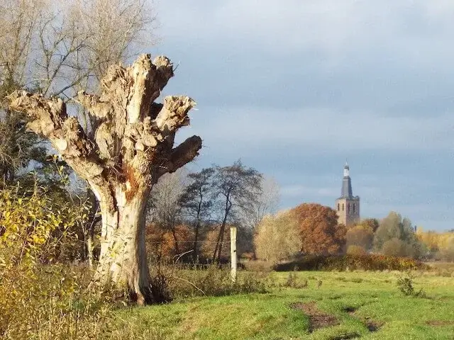 dommelbeemden and knoptoren