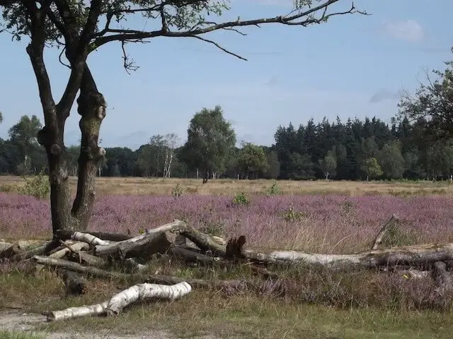 Kanonsberg