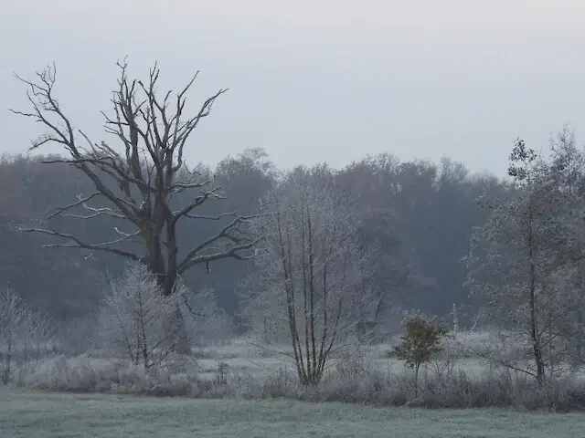 brookvalley slabroek