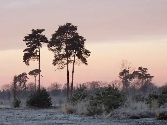 the grote cirkel