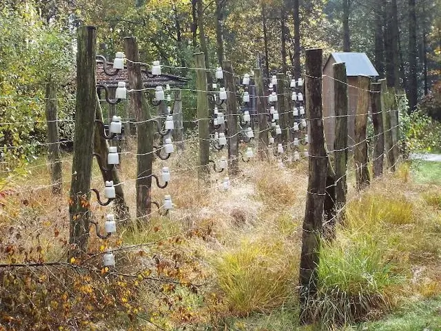 death wire from WWI