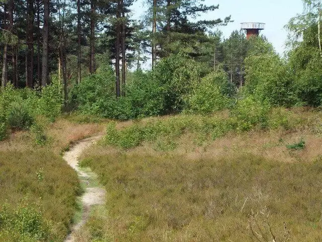 path in the overloonsche dunes