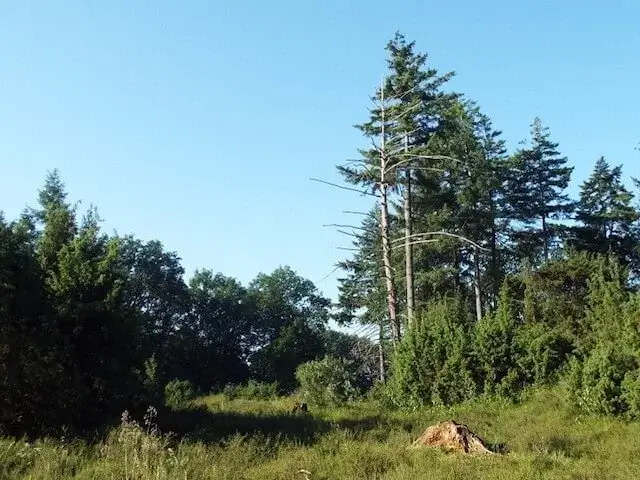 Klokkenberg Tour