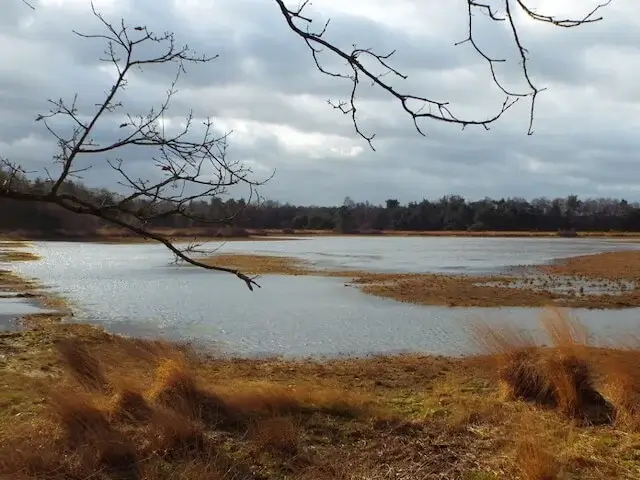 fens on the landschotsche heather