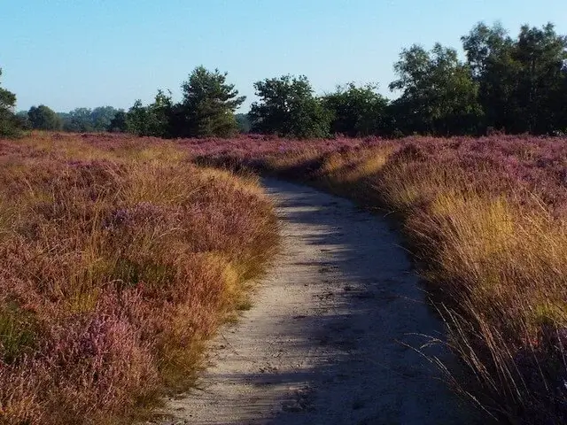 malpie nature reserve
