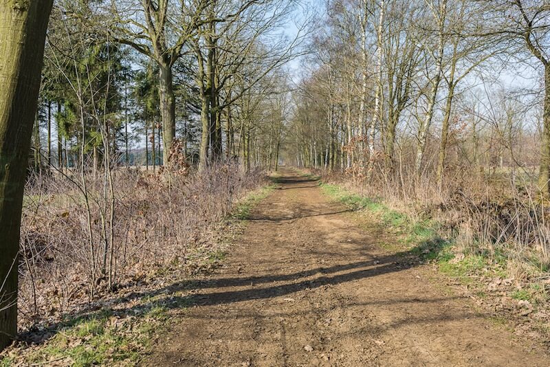 Dassenaarde and Groot Asdonk