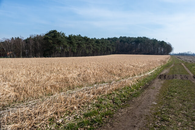 Dassenaarde and Groot Asdonk