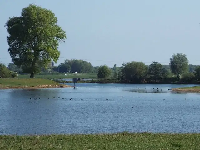ols meuse arm